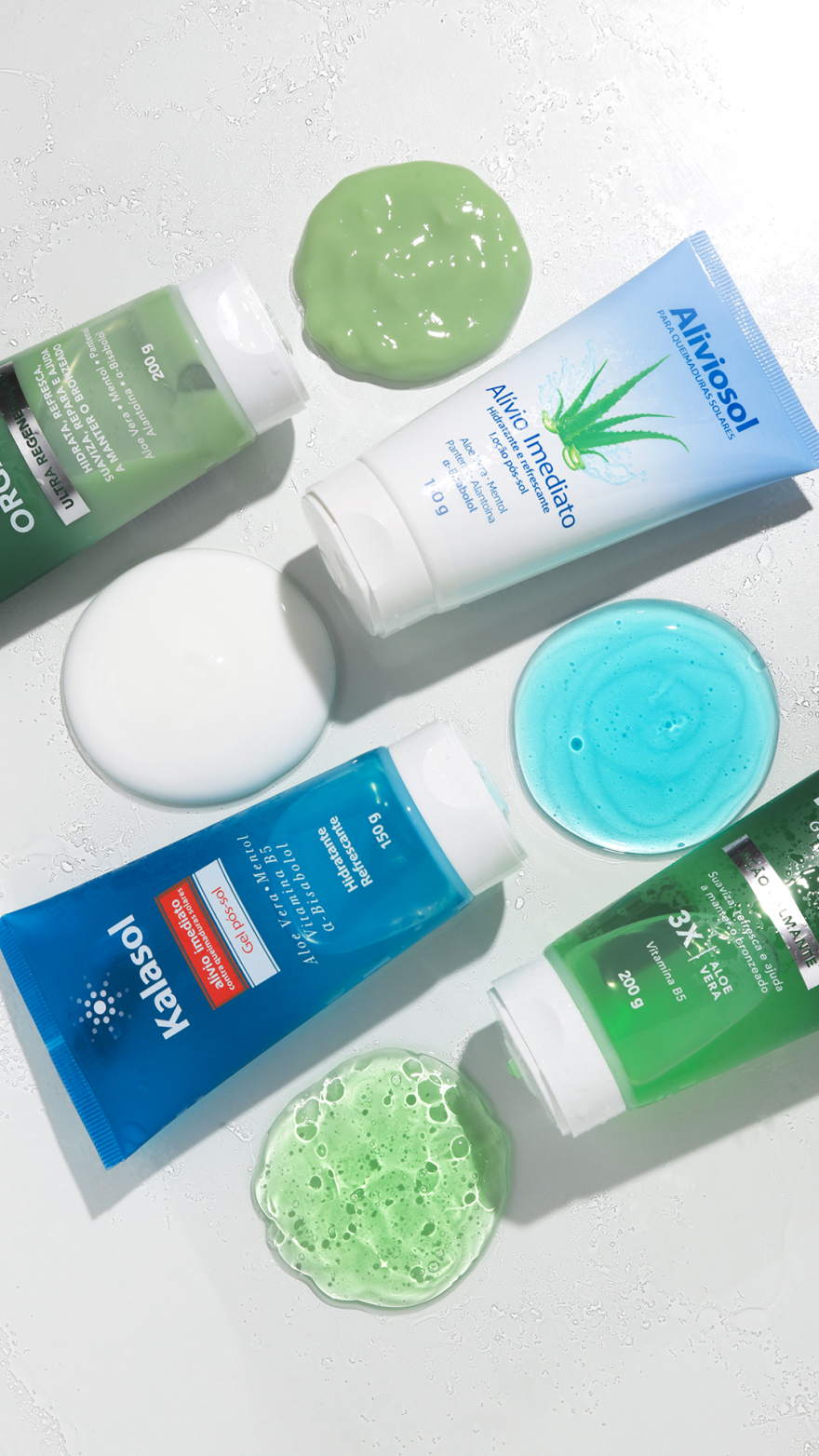 Aloe Vera: da planta para os produtos Anasol